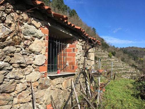 imagen 1 de Venta de viña con bodega en Escarión (Lugo)