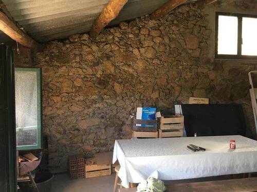 imagen 4 de Venta de viña con bodega en Escarión (Lugo)