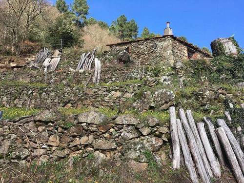 imagen 7 de Venta de viña con bodega en Escarión (Lugo)