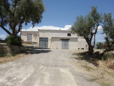 imagen 4 de Venta de bodega ecológica con vivienda en Lobras (Granada)