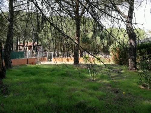 imagen 1 de Venta de finca de recreo en Tudela de Duero