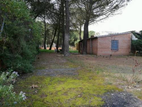 imagen 4 de Venta de finca de recreo en Tudela de Duero