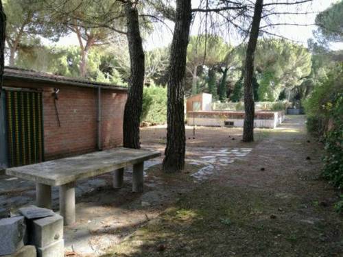 imagen 2 de Venta de finca de recreo en Tudela de Duero