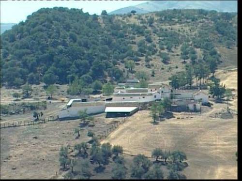 imagen 2 de Venta de finca con almazara y ermita antigua