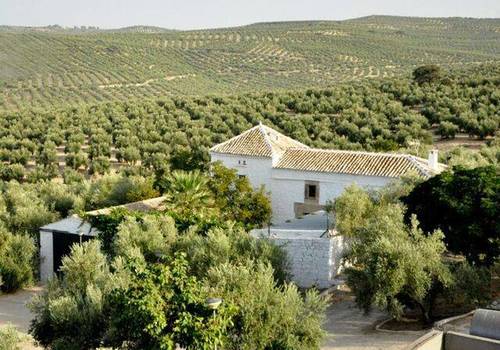 imagen 1 de Venta de almazara en funcionamiento en Jaén