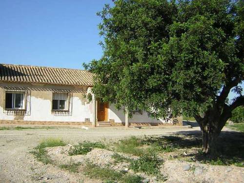 imagen 7 de Venta de tres casas de campo en Casas de Tallante (Murcia)