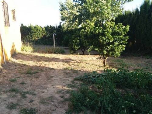 imagen 2 de Venta de casa de campo con olivos en Bailén