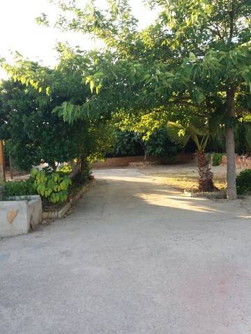 imagen 3 de Venta de casa de campo con olivos en Bailén