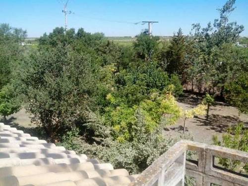 imagen 5 de Venta de casa de rural en Herencia (Ciudad Real)