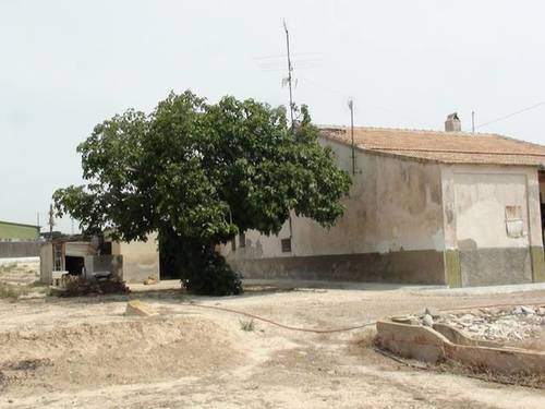 imagen 3 de Venta de casa rural en Elche (Alicante)