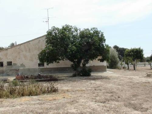 imagen 4 de Venta de casa rural en Elche (Alicante)