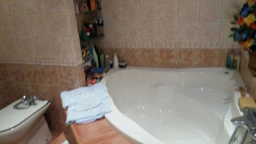 imagen 1 de Venta de casa rural en Berrocalejo