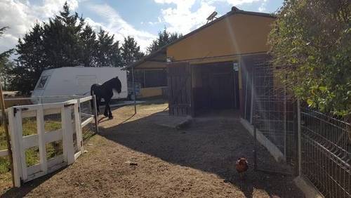 imagen 6 de Venta de casa de campo en Navalcarnero (Madrid)