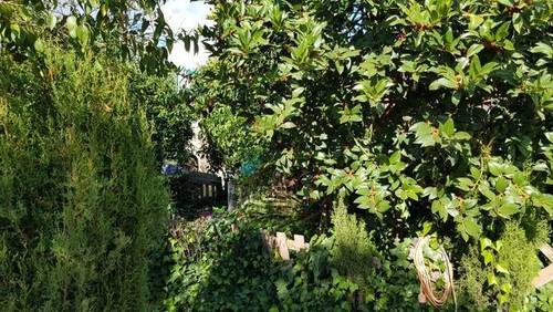imagen 7 de Venta de casa de campo en Navalcarnero (Madrid)