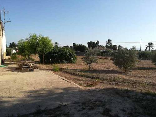 imagen 1 de Venta de finca rústica con casa de campo en Elche