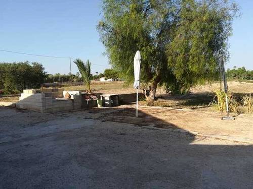 imagen 3 de Venta de finca rústica con casa de campo en Elche