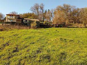 imagen 2 de Venta de casa rural en  A Peroxa