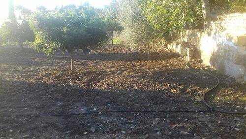 imagen 2 de Venta de casa rural en Jerez de la Frontera (Cádiz)