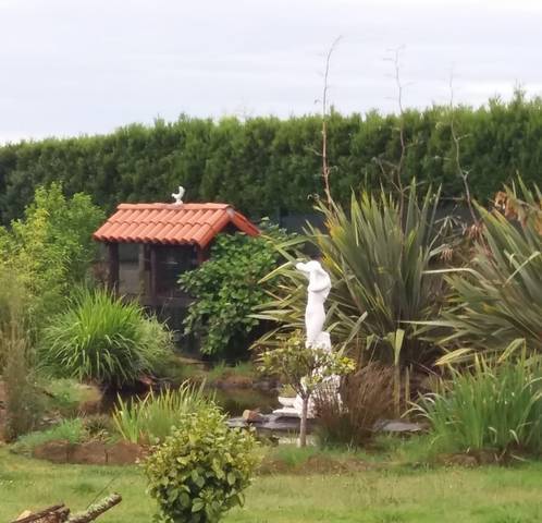 imagen 2 de Venta de casa con finca en Cerceda (A Coruña)