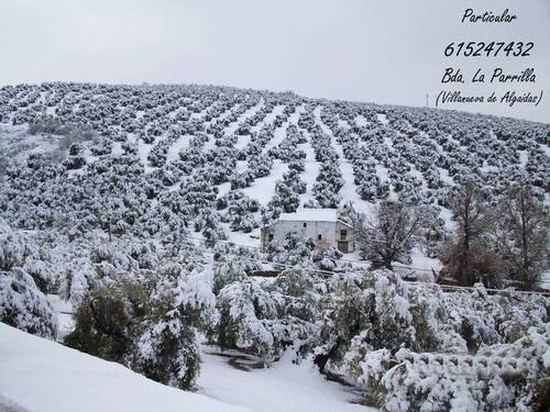 imagen 2 de Venta de casa rural en Villanueva de las Algaidas (Málaga)