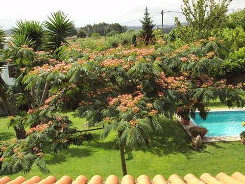 imagen 1 de Venta de casa rural en Espiñero (La Coruña)