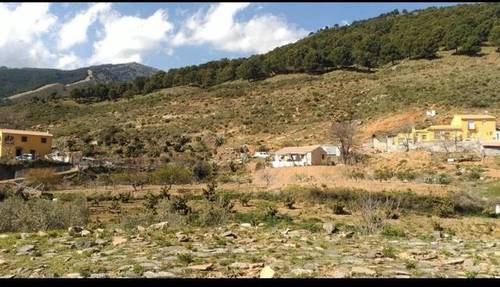 imagen 4 de Venta de casa de campo en La Albaida (Málaga)