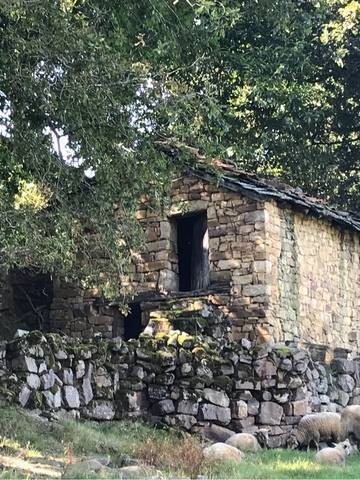 imagen 1 de Venta de cabaña con terreno en Cantabria