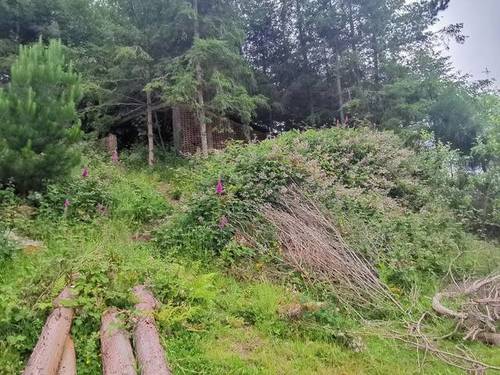 imagen 1 de Venta de casa rural con terreno en Alfoz