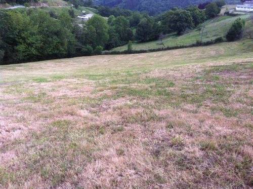 imagen 5 de Venta de casa rural en Cabranes (Asturias)