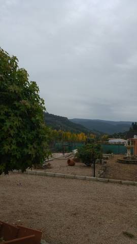 imagen 5 de Venta de casa rural con terreno en Villaverde de Guadialmar