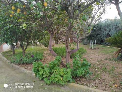 imagen 5 de Venta de casa de campo en Córdoba
