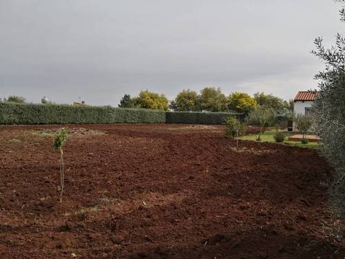 imagen 7 de Venta de casa de campo en Valverde de Leganés