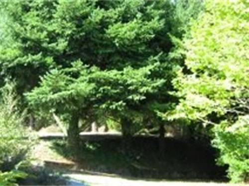imagen 6 de Venta de casa rural en Lugo
