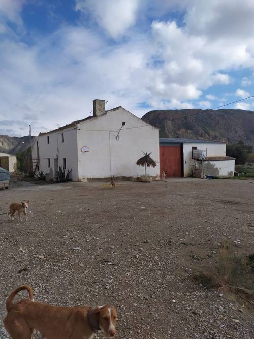 imagen 1 de Venta e finca olivar y calma riego en Dehesas de Guadix