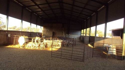 imagen 3 de Venta de finca de caza en Hoyo de Mestanza