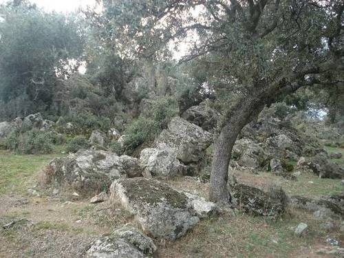imagen 2 de Venta de finca de caza en Hoyo de Mestanza