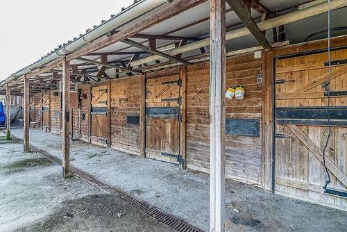 imagen 1 de Venta de finca ecológica con vivienda y cuadras para caballos
