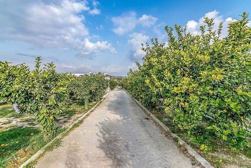 imagen 2 de Venta de finca ecológica con vivienda y cuadras para caballos