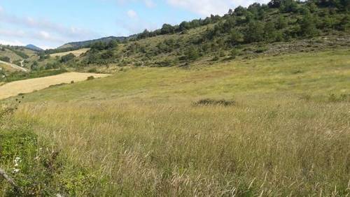 imagen 1 de Venta de finca en Sarasa