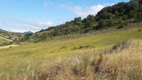 imagen 1 de Venta de finca en Sarasa