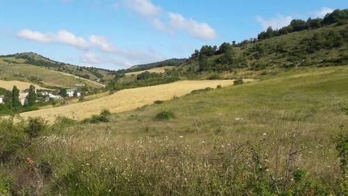 imagen 2 de Venta de finca en Sarasa