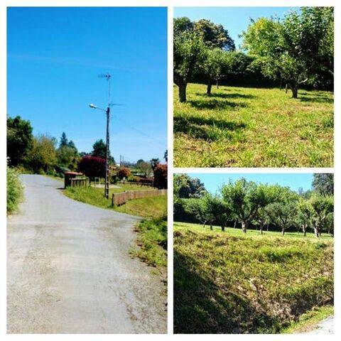 imagen 1 de Venta de finca rústica con buen acceso en Mariñan