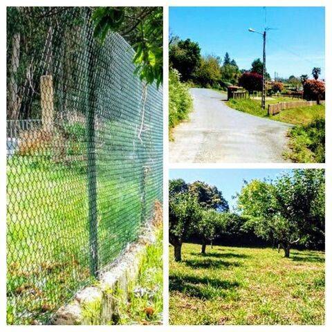 imagen 1 de Venta de finca rústica con buen acceso en Mariñan
