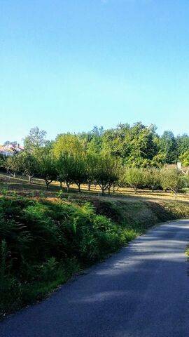 imagen 4 de Venta de finca rústica con buen acceso en Mariñan