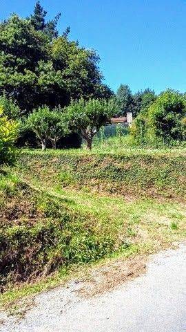 imagen 2 de Venta de finca rústica con buen acceso en Mariñan