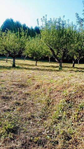 imagen 3 de Venta de finca rústica con buen acceso en Mariñan