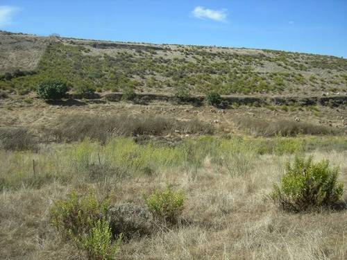 imagen 1 de Venta de finca en Galdar (Las Palmas)