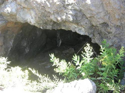 imagen 2 de Venta de finca en Galdar (Las Palmas)