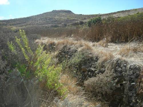 imagen 4 de Venta de finca en Galdar (Las Palmas)