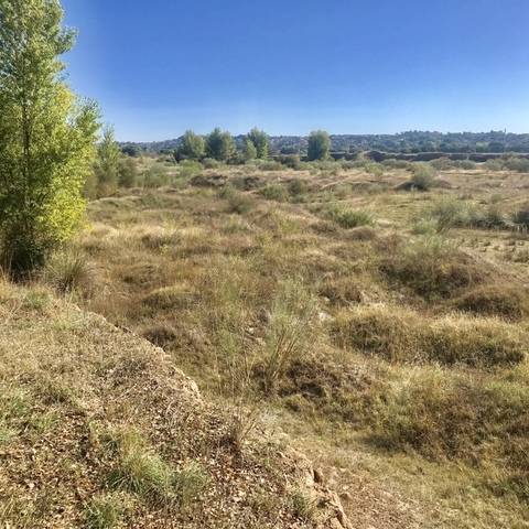 imagen 1 de Venta de finca en Aldea del Fresno (Madrid)